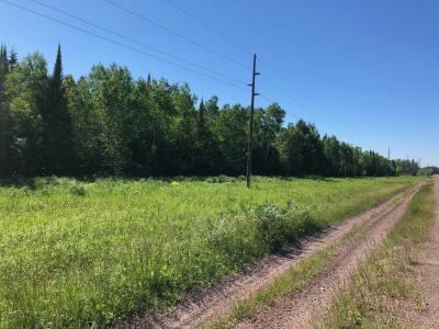 100 Acres off Hwy M64, White Pine, Michigan 49971