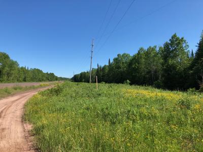 100 Acres off Hwy M64, White Pine, Michigan 49971