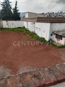 Isidro Fabela 405,, Toluca, Estado De México 50070, México