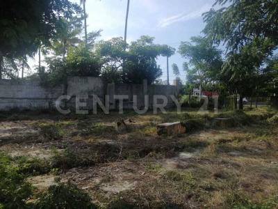 Cosoleacaque, Veracruz 96340, Mexico