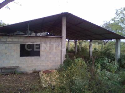 Ciudad Valles, San Luis Potosi 79237, Mexico