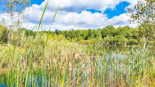 16000 Ederer, Hemlock, Michigan 48626, Estados Unidos