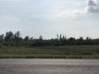Highway 191 N Toledo Town, Many, Louisiane 71449, États-Unis
