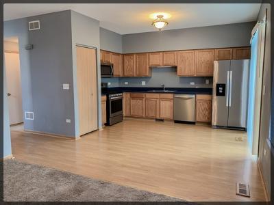 1449 Levato Lane, Minooka, 伊利诺斯州 60447, 美国