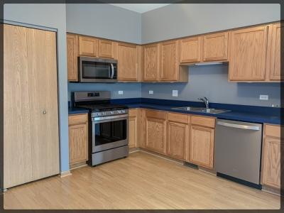 1449 Levato Lane, Minooka, 伊利诺斯州 60447, 美国