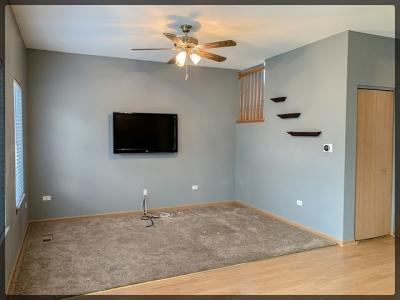 1449 Levato Lane, Minooka, 伊利诺斯州 60447, 美国