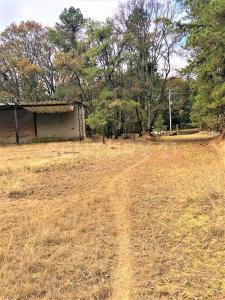 9949 Rancho Blanco Espiritu Santo ,, Jilotzingo, Meksika Eyaleti 54570, Meksika