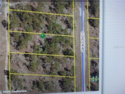 14405 Condor Road, Weeki Wachee, Floride 34614, États-Unis