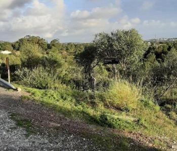 Cascais, Lisbon 2755-307, Portugal