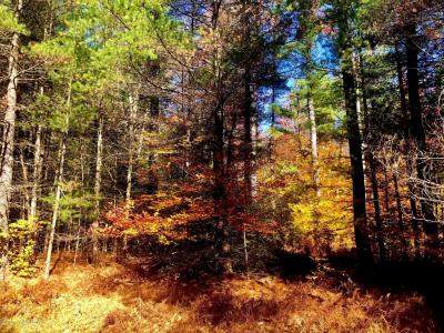 36 Kimberly Circle, Thornhurst, Pensilvania 18424, Estados Unidos