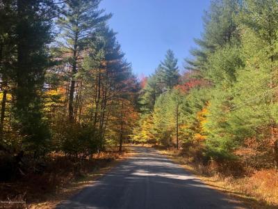 36 Kimberly Circle, Thornhurst, Pensilvania 18424, Estados Unidos