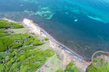 Bayaleau Beach Front Lot, Bayaleau, Carriacou West Indies, גרנדה 