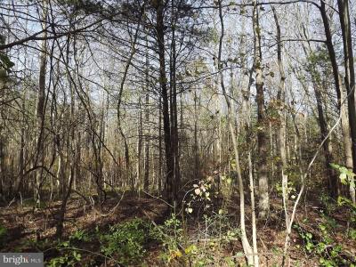 0 Yorketown Road , Alloway, NJ 08001, USA