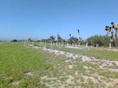 Villa Hidalgo, San Luis Potosí 78970, Mexico