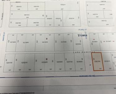 Kokomo Rd NE, Haines City, 佛罗里达州 33844, 美国