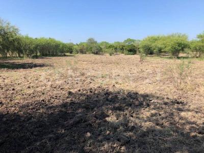 Montemorelos, Nuevo León 67600, Mexique