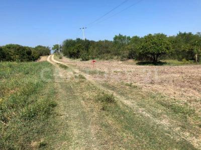 Montemorelos, Nuevo León 67600, Mexique