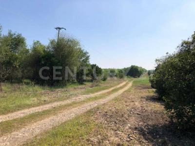 Montemorelos, Nuevo León 67600, Mexique