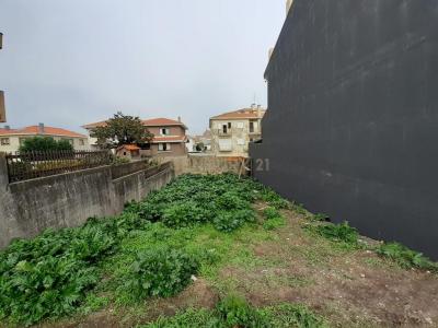 Porto, Porto 4250-273, Portogallo