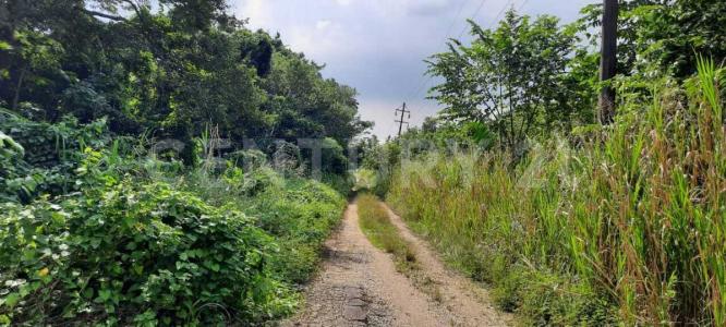 Ixhuatlan Del Sureste, Veracruz 96365, Mexiko