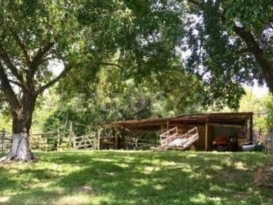 Ra. Caparroso S/n,, Macuspana, 塔巴斯科 86748, 墨西哥