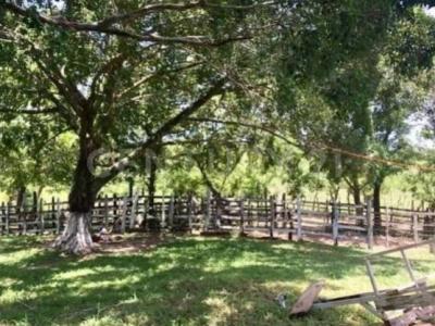 Ra. Caparroso S/n,, Macuspana, Tabasco 86748, Mexiko
