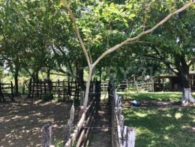 Ra. Caparroso S/n,, Macuspana, Tabasco 86748, Mexiko