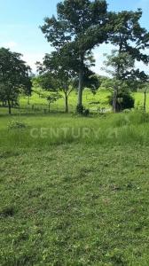 Ra. Caparroso S/n,, Macuspana, Tabasco 86748, Mexiko