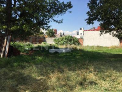 Renta Terreno zona Recta y Esteban de Antuñano ,, Puebla, Puebla 72001, Mexique