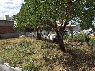 Renta Terreno zona Recta y Esteban de Antuñano ,, Пуэбла, Пуэбла 72001, Мексика