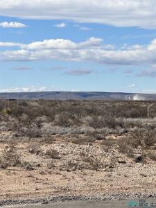 Lot 9B N Tagwood Lane, Carlsbad, NM 88220, USA