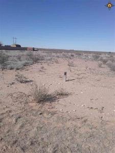 Lot 3A N. Tagwood Lane, Carlsbad, New Mexico 88220, USA