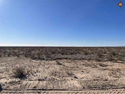 Lot 26B S Tagwood, Carlsbad, NM 88220, USA