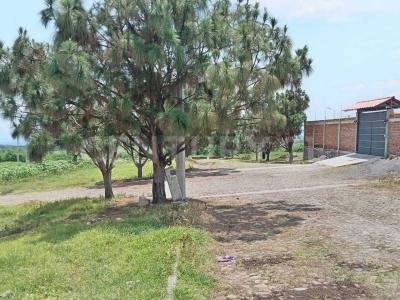 Lotes Premium s/n,, Cuauhtemoc, Colima 28501, México