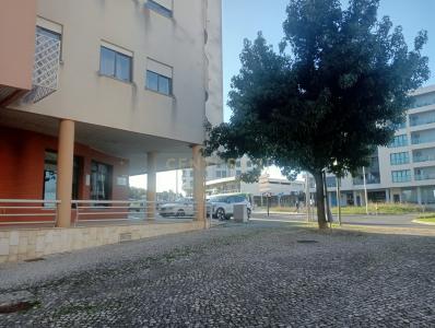 Torres Novas, Santarem 2350-565, Portugal