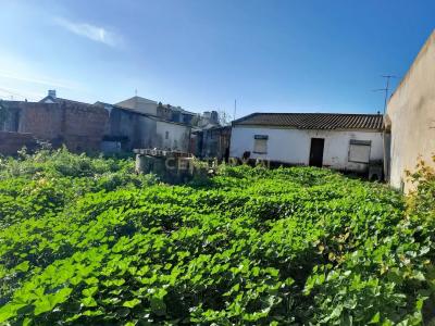 Moita, Setúbal 2955-293, Portugal