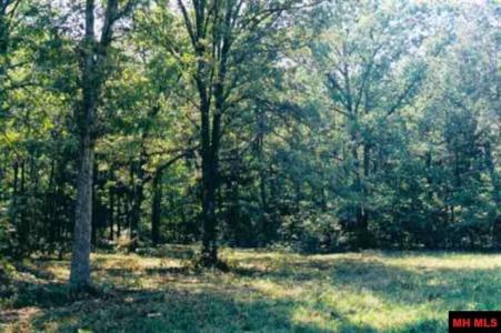 Lot 21 CR 472 Additional Avail Lots V, 21, 36, 37, Clarkridge, Arkansas 72623, Estados Unidos