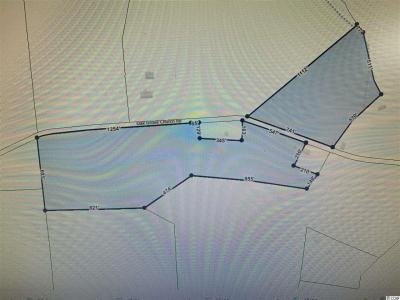 5440 Oak Grove Church rd., Nichols, South Carolina 29581, Stati Uniti