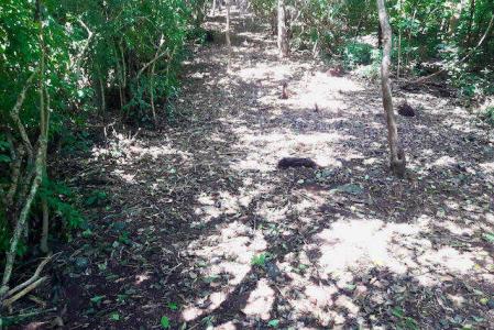 Oyster View, Lot No. 1, St. Louis LEsterre, St. Louis LEsterre, Carriacou West Indies, גרנדה