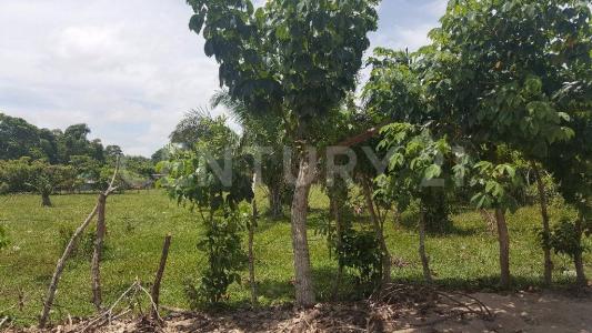 Las Palmitas 6,, Minatitlan, וראקרוס 96902, מקסיקו