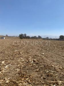 Metepec, Штат Мехико 52160, Мексика