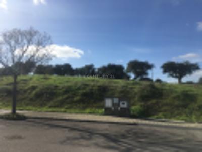 Montemor O Novo, Evora 7050--006, Portogallo