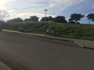 Montemor O Novo, 埃武拉 7050--006, 葡萄牙