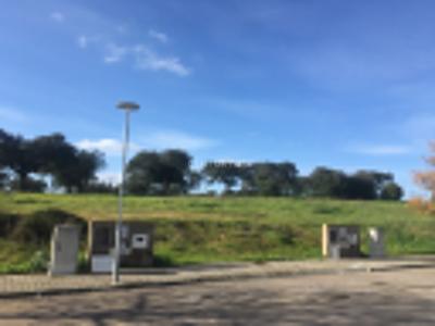 Montemor O Novo, 埃武拉 7050-006, 葡萄牙