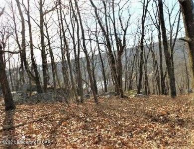 VV Lot 29 Turnberry Lane, Hazle Twp, 賓夕法尼亞州 18202, 美國