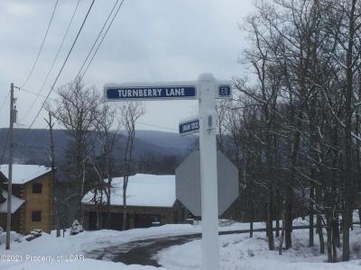 VV Lot 29 Turnberry Lane, Hazle Twp, 賓夕法尼亞州 18202, 美國
