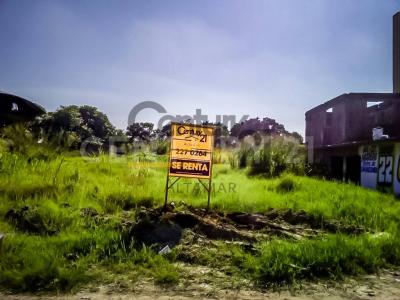 Altamira, Tamaulipas 89608, Mexique