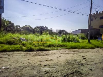 Altamira, Tamaulipas 89608, Mexique