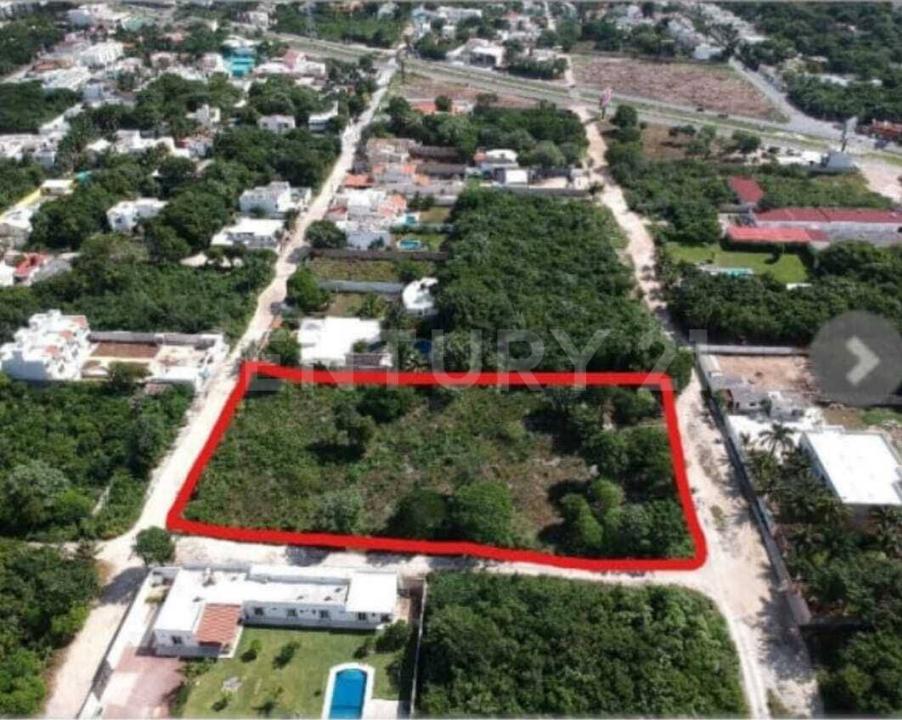 Alamos S/N,, Cancún/Benito Juárez, Quintana Roo 77560, Mexique