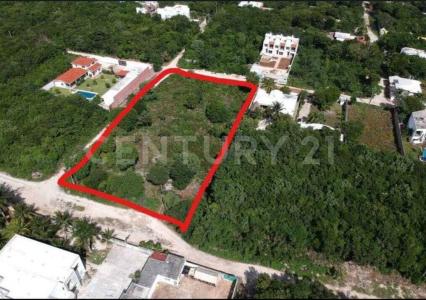 Alamos S/N,, Cancún/Benito Juárez, Quintana Roo 77560, Mexique